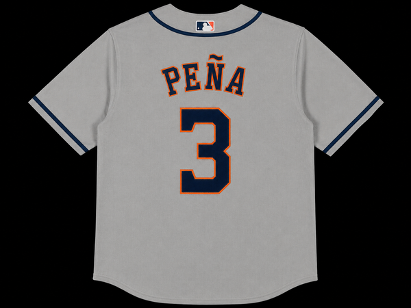 Houston Astros Gris