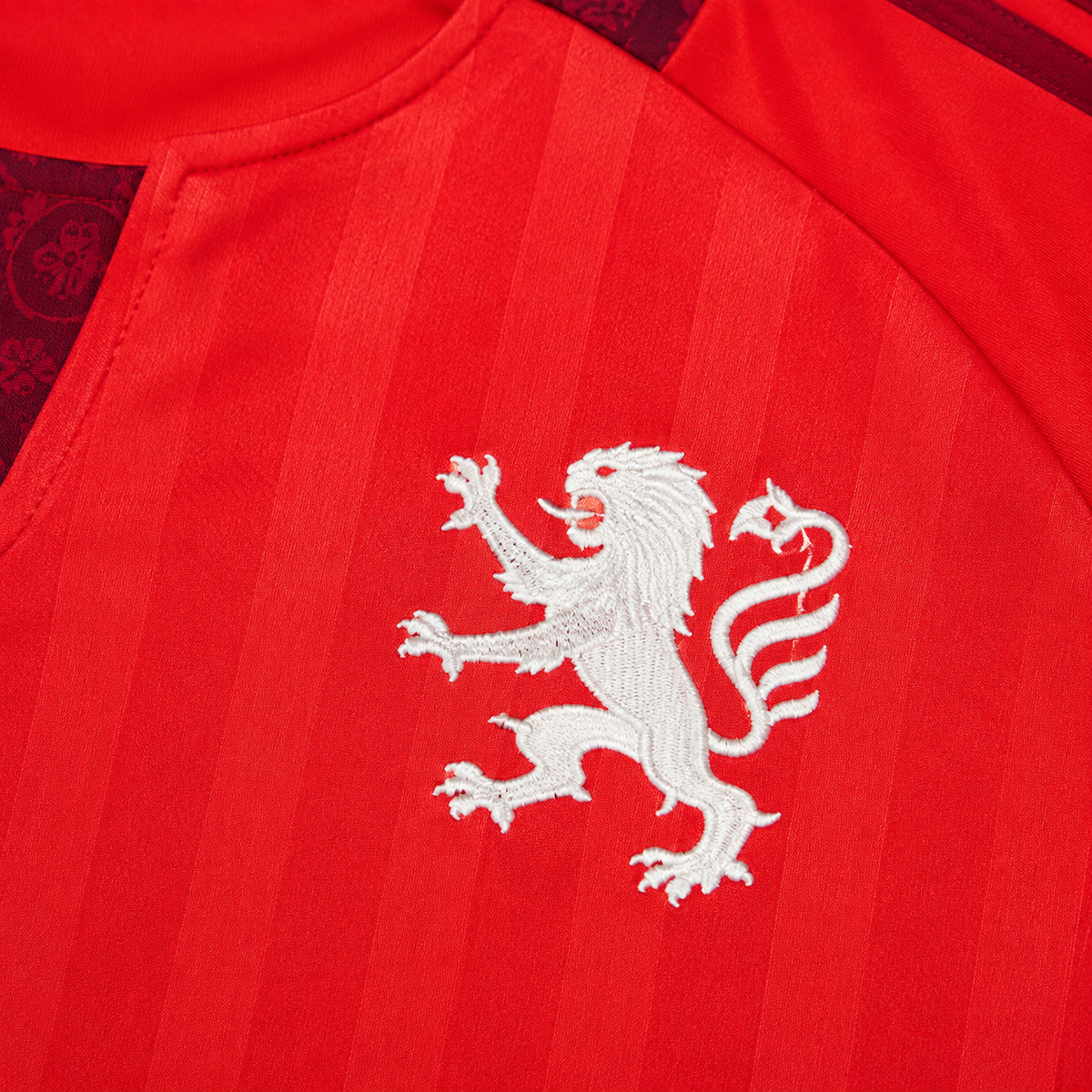 Olympique de Lyon Visita 2026-2027
