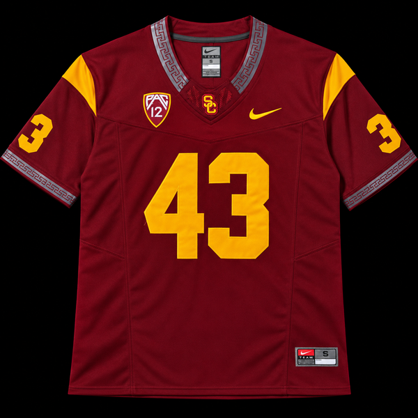 USC - #43 Polamalu